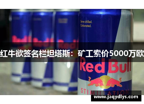 红牛欲签名栏坦塔斯：矿工索价5000万欧
