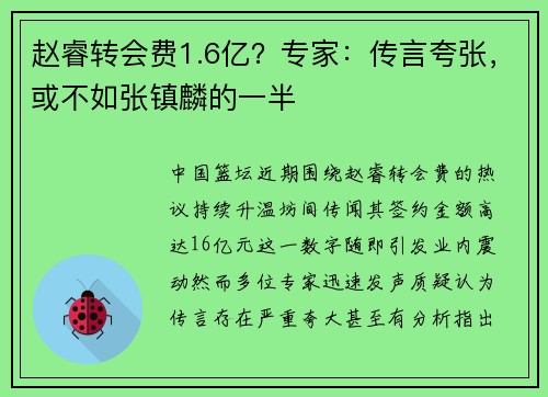 赵睿转会费1.6亿？专家：传言夸张，或不如张镇麟的一半