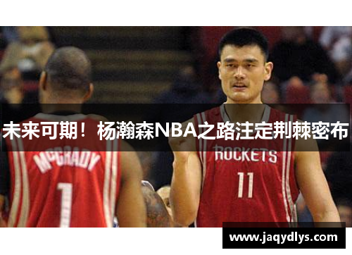 未来可期！杨瀚森NBA之路注定荆棘密布