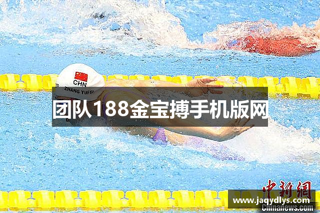 团队188金宝搏手机版网